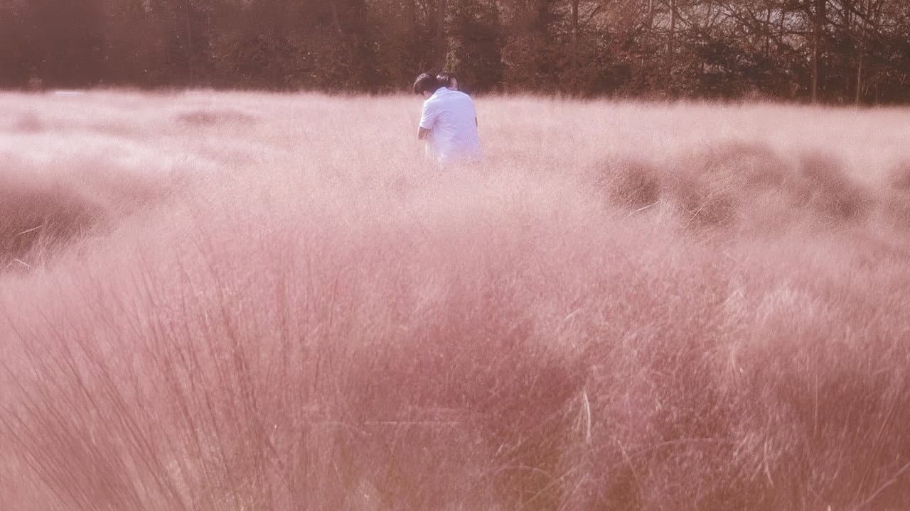 Serialdan 3-lavha
