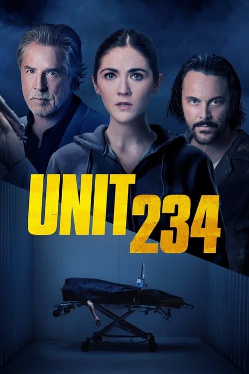 234-ombor / 234-yacheyka posteri