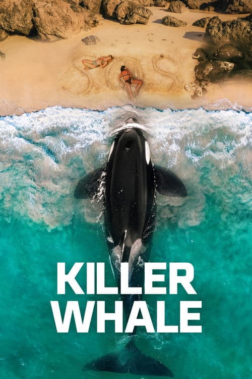 Yirtqich hamlasi / Akula hujumi ujas kino 2026 posteri